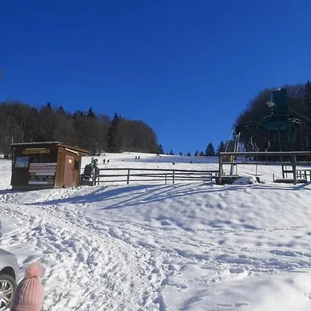 Ferienland Sonnenwald Fewo 46 Und Studio 50 In Schoefweg Bayerischer Wald Extérieur photo