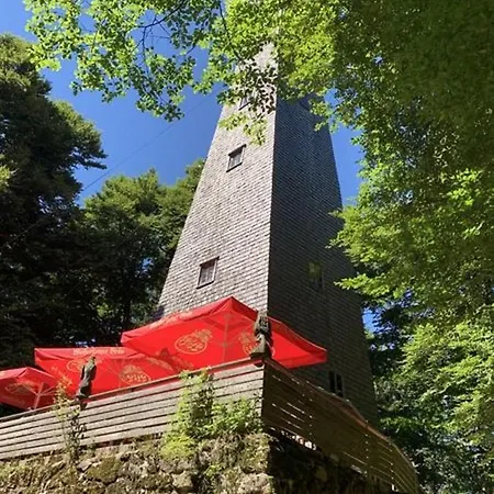 Ferienland Sonnenwald Fewo 46 Und Studio 50 In Schoefweg Bayerischer Wald Extérieur photo
