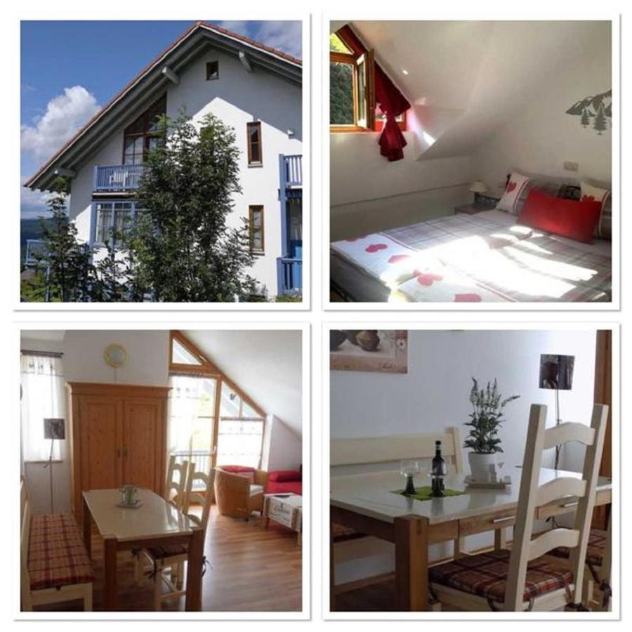 Ferienland Sonnenwald 46 Und 50 In Bayerischer Wald Appartement Schöfweg