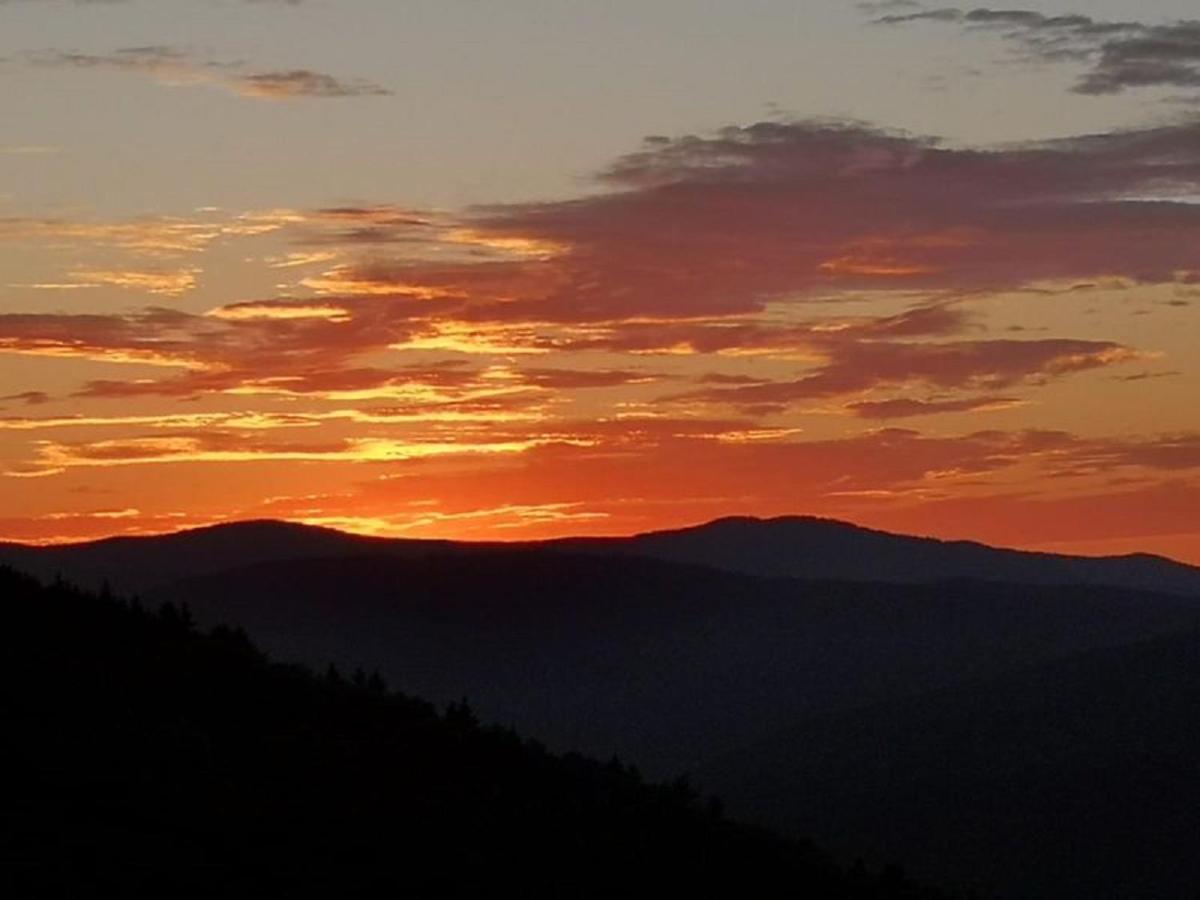 Ferienland Sonnenwald 46 Und 50 In Bayerischer Wald Appartement Schöfweg