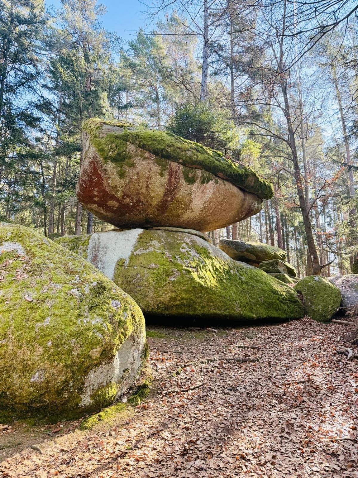 Appartement Ferienland Sonnenwald 46 Und 50 In Bayerischer Wald Schöfweg