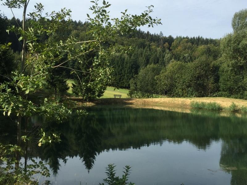 Ferienland Sonnenwald 46 Und 50 In Bayerischer Wald Appartement *